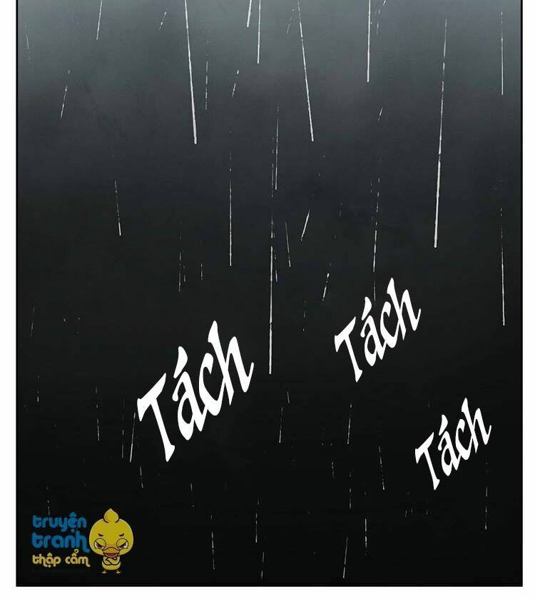 Cứu Mạng! Loài Mèo Thống Trị Thế Giới Rồi!: Chapter 26