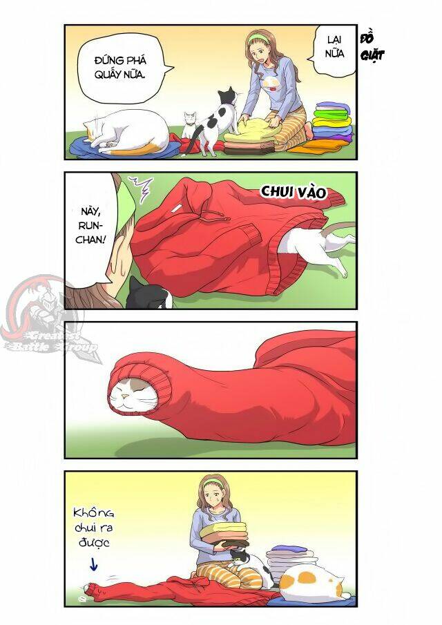 Cat is silver vine: Chapter 9