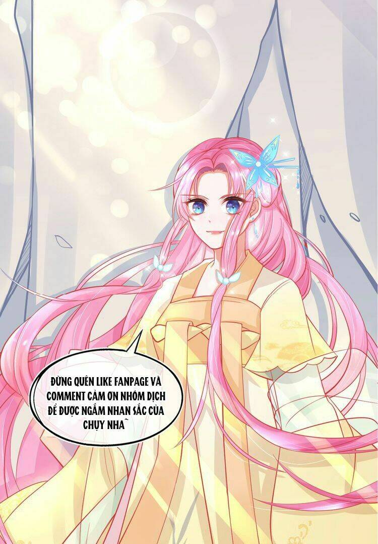 Bổn Vương Phi Có Roi Trong Tay: Chapter 2