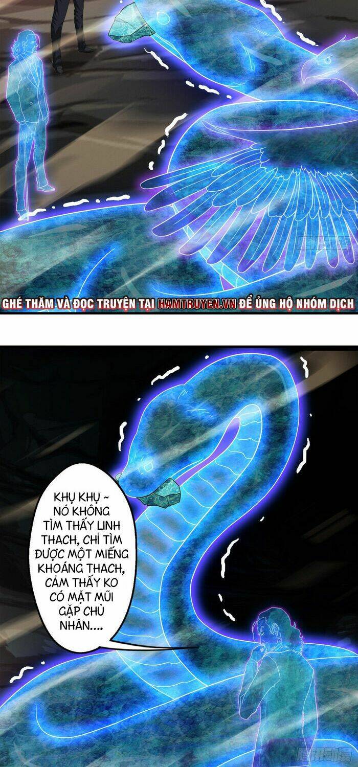 Ta Tu Linh Mạch Ở Hoa Hạ: Chapter 11