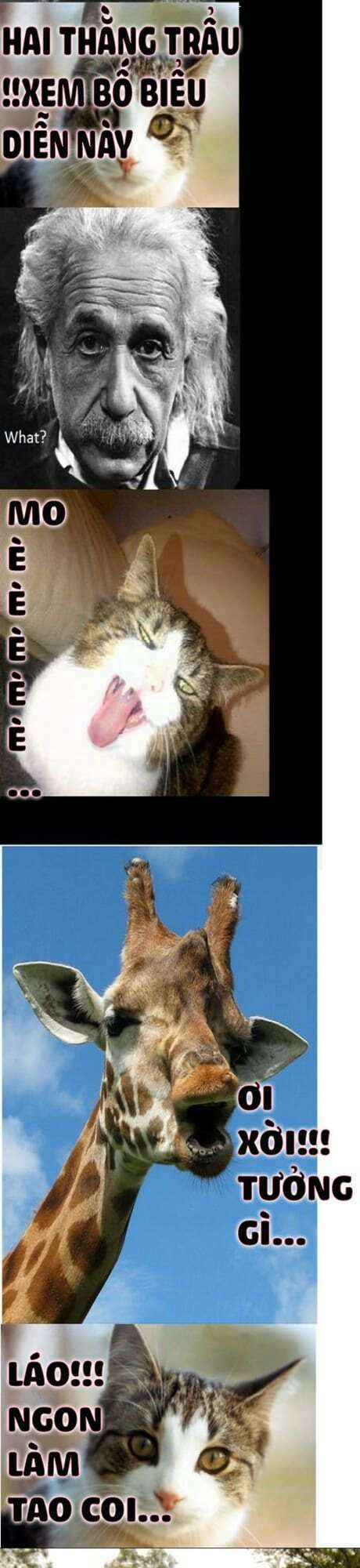 Chuyện Đồn Đó Đây: Chapter 6