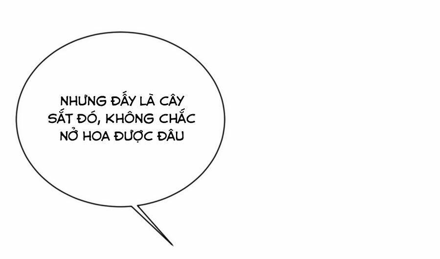 Cung Đấu Live: Chapter 43