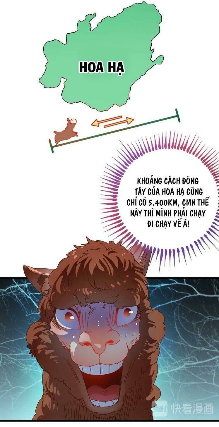 Ta Có Rất Nhiều Thành Tích: Chapter 7