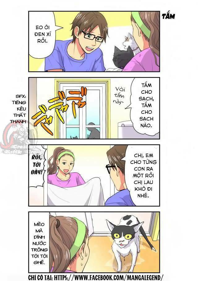 Cat is silver vine: Chapter 19