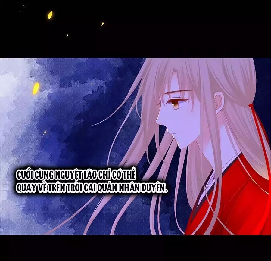 Hoa Chưa Nở Rộ: Chapter 20