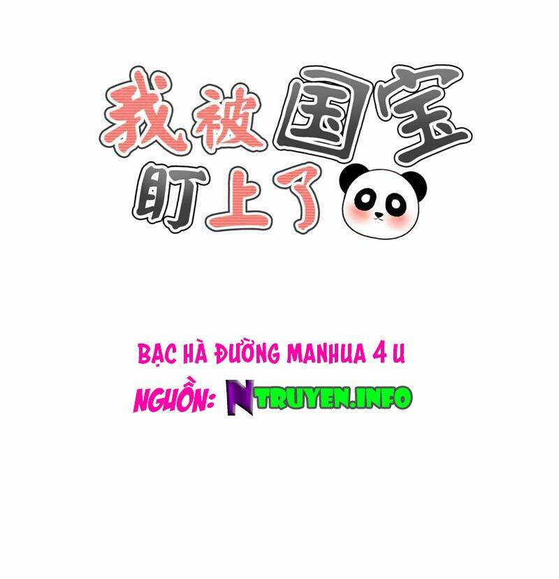 Tôi Bị Gấu Trúc Nhìn Trúng Rồi: Chapter 20