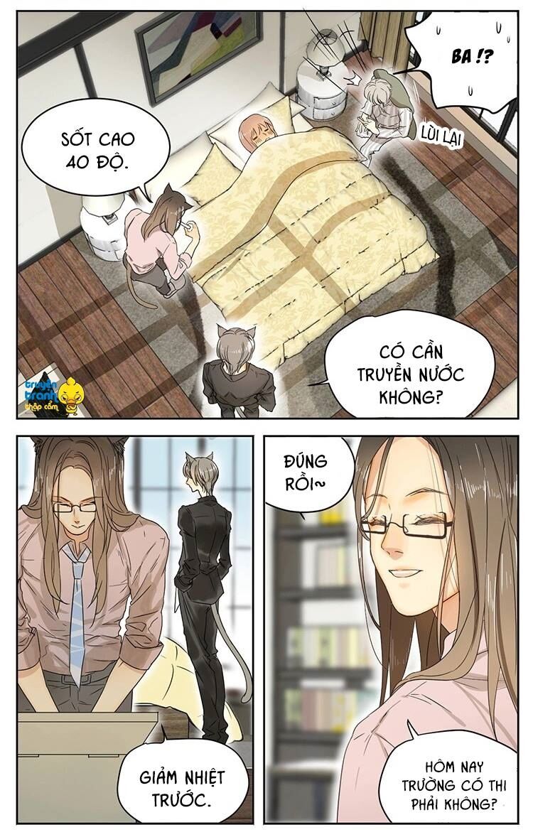 Cứu mạng ! Loài mèo thống trị thế giới rồi !: Chapter 14