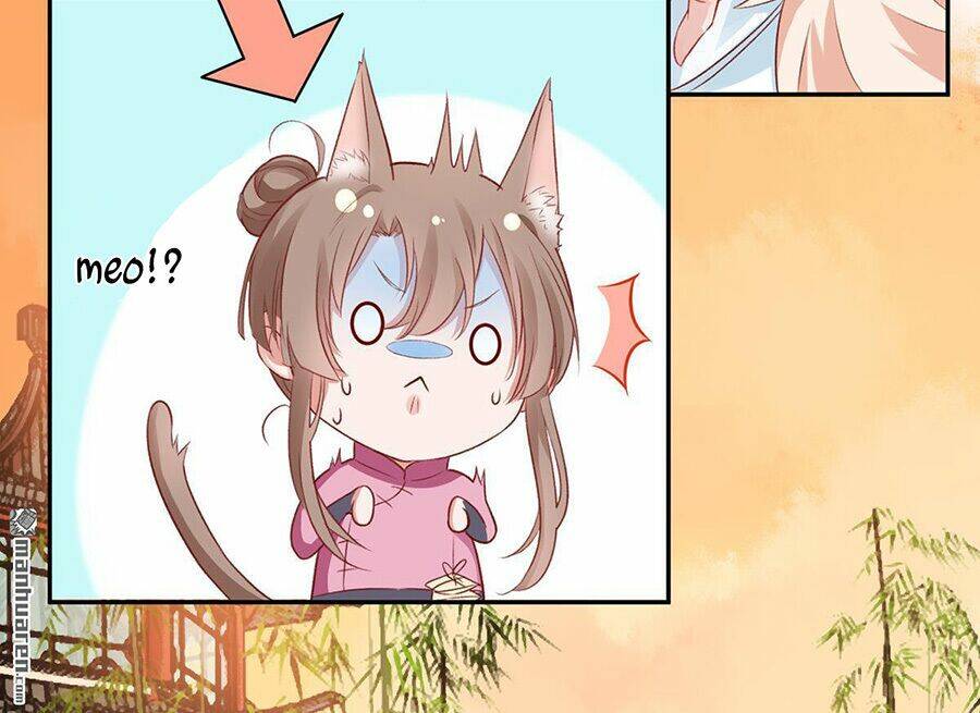 Hoàng Phi 9000 Tuổi: Chapter 10