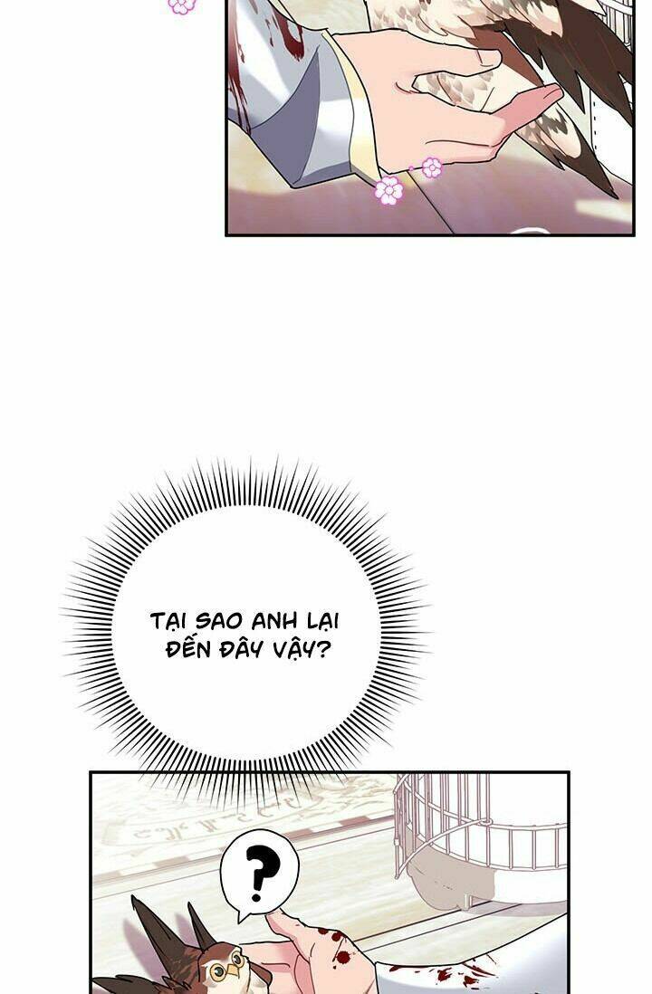 Công Chúa Của Loài Chim: Chapter 22