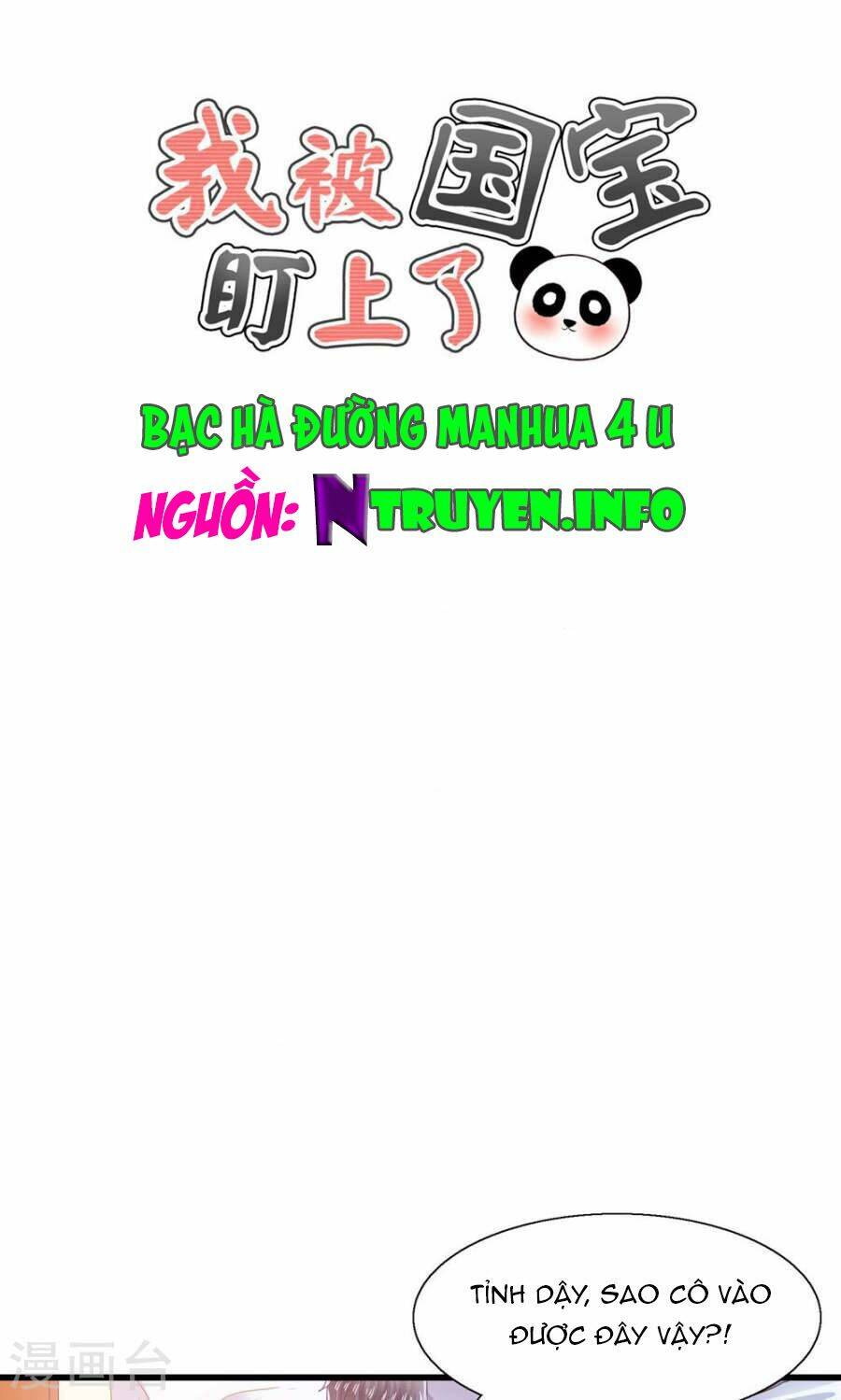 Tôi Bị Gấu Trúc Nhìn Trúng Rồi: Chapter 6