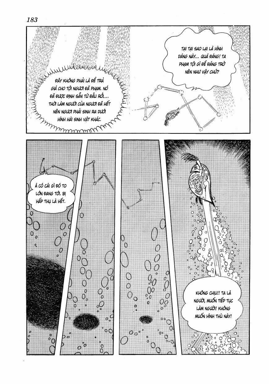 Chim Lửa: Chapter 48