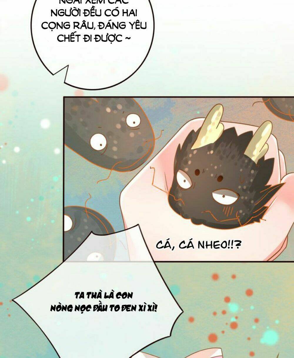 Chọc Nhầm Thượng Thần Băng Lãnh: Chapter 22