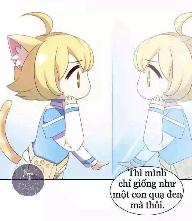 Dưới Móng Vuốt Mèo: Chapter 11