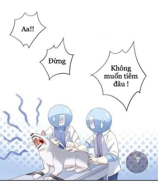 Dưới Móng Vuốt Mèo: Chapter 15