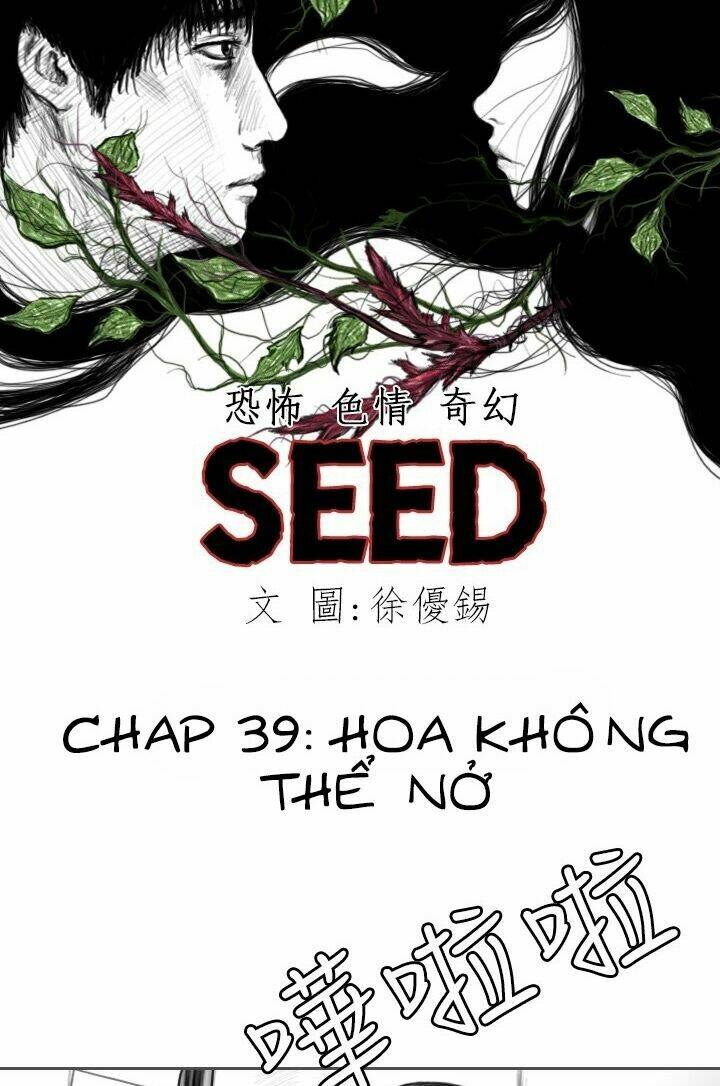 Hạt Giống Mỹ Nhân: Chapter 39
