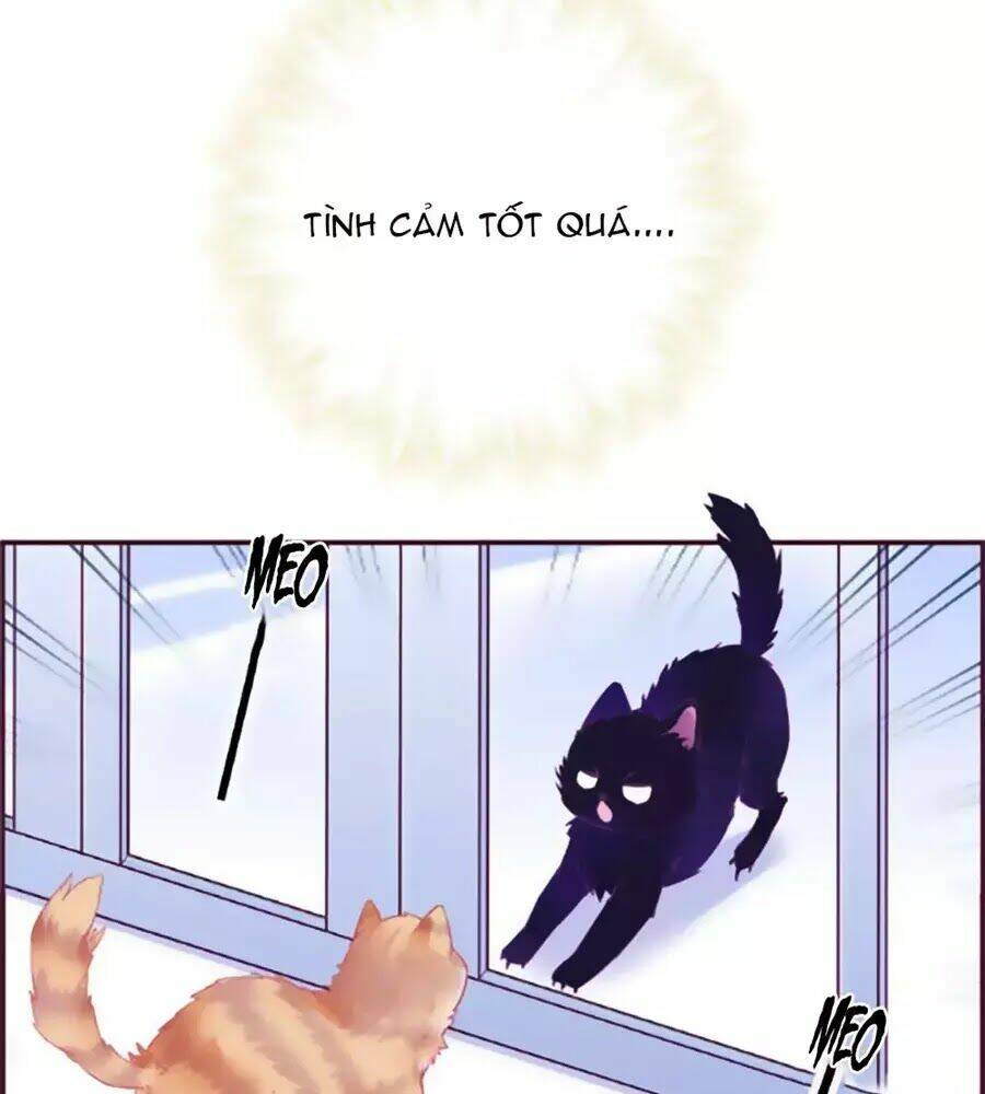 Đừng Nghịch, Ta Chỉ Muốn Yên Tĩnh: Chapter 69