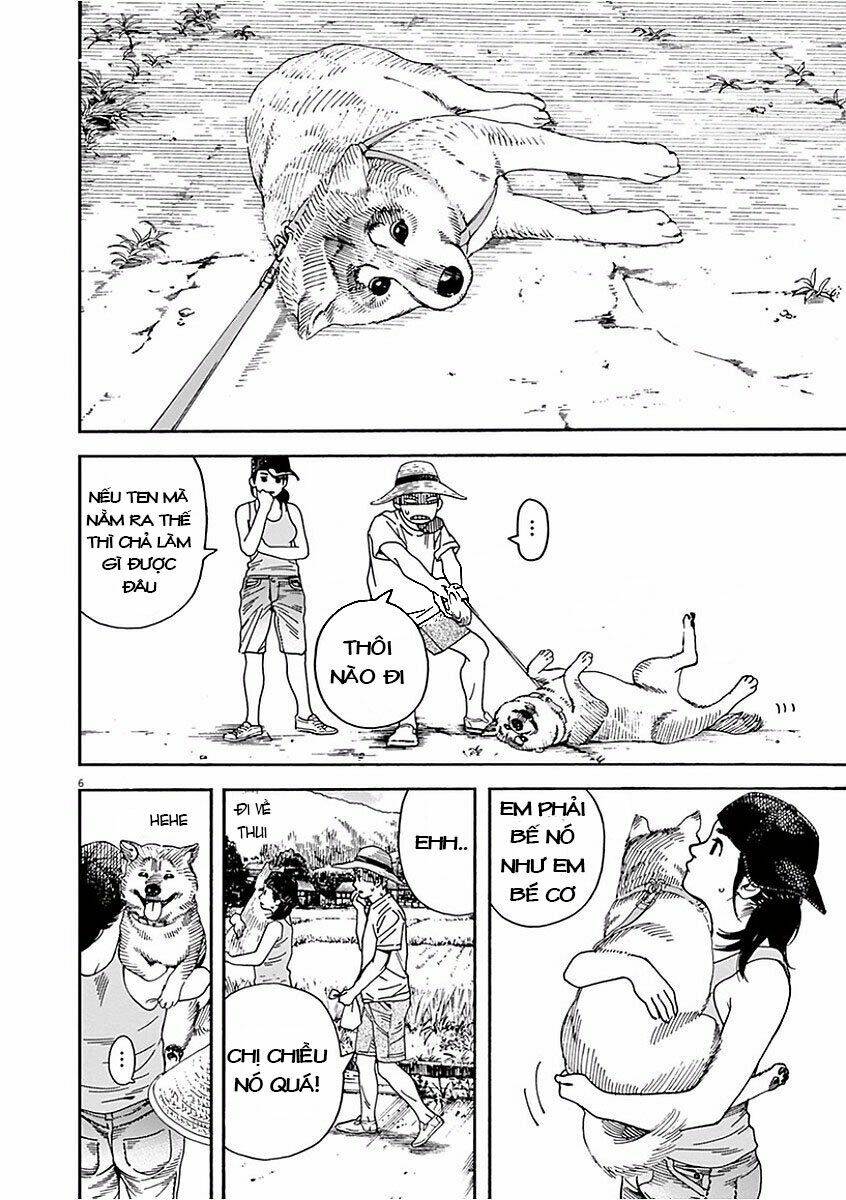 Neko No Otera No Chion-San: Chapter 36