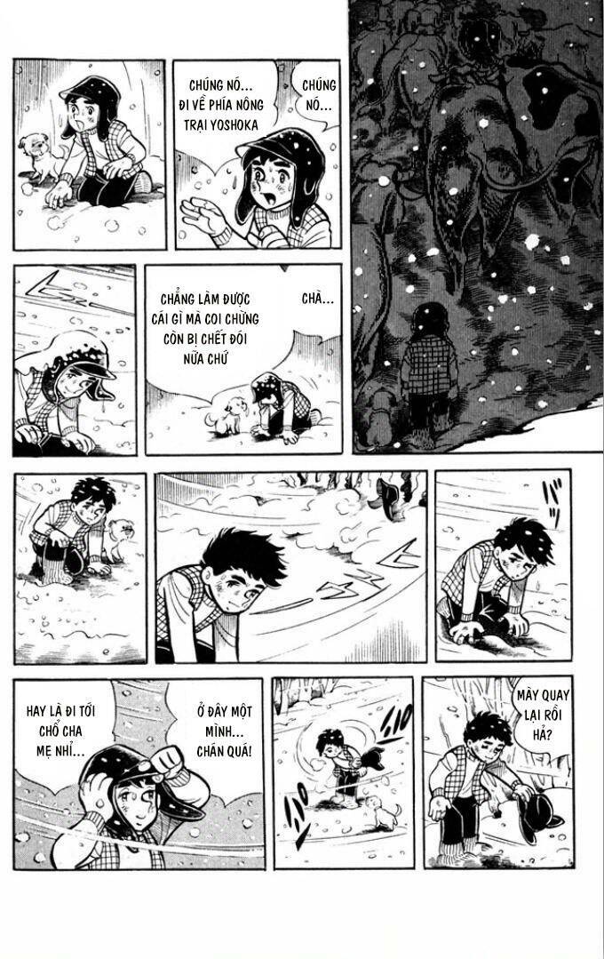 [Tuyển Tập Chiba Tetsuya] - Gaki: Chapter 3