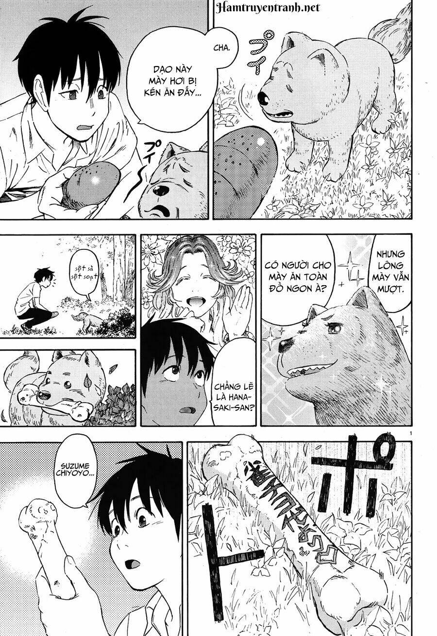 Shinobuna! Chiyo-Chan: Chapter 7