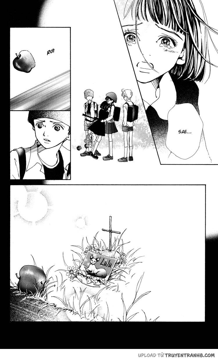 Last Quarter: Chapter 6