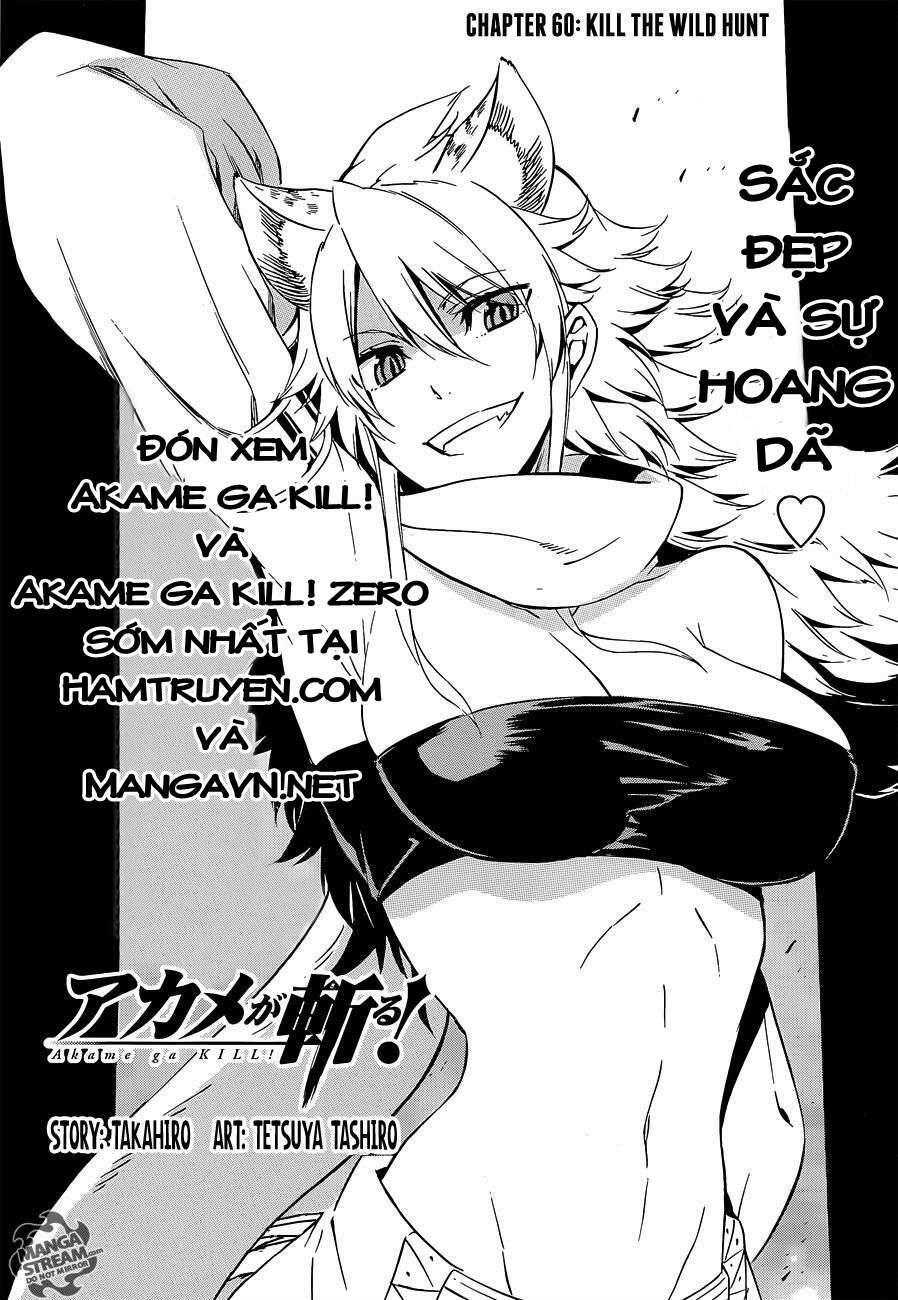 Akame Ga Kiru: Chapter 60