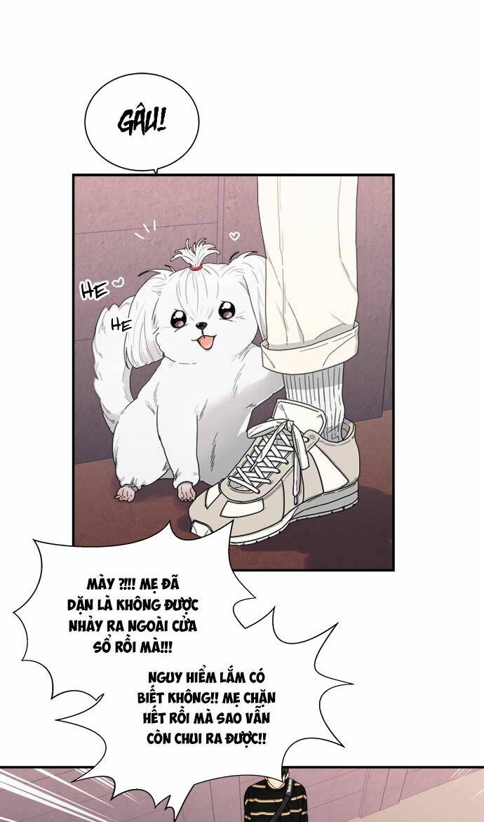 Phải Lòng Oan Gia: Chapter 10