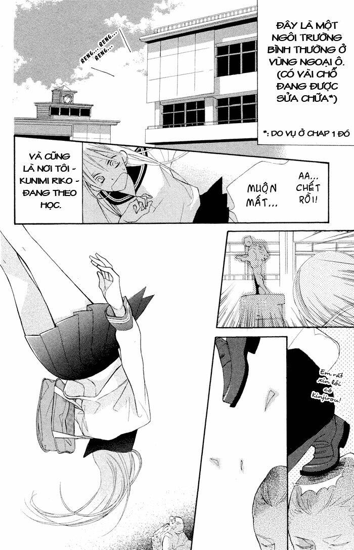 Hoa Trong Bão: Chapter 2