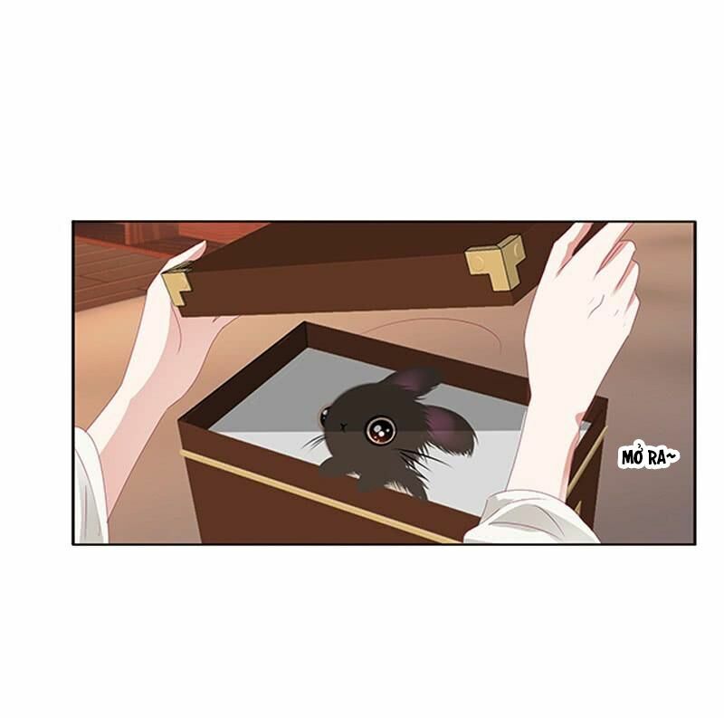 Thông Linh Phi: Chapter 431