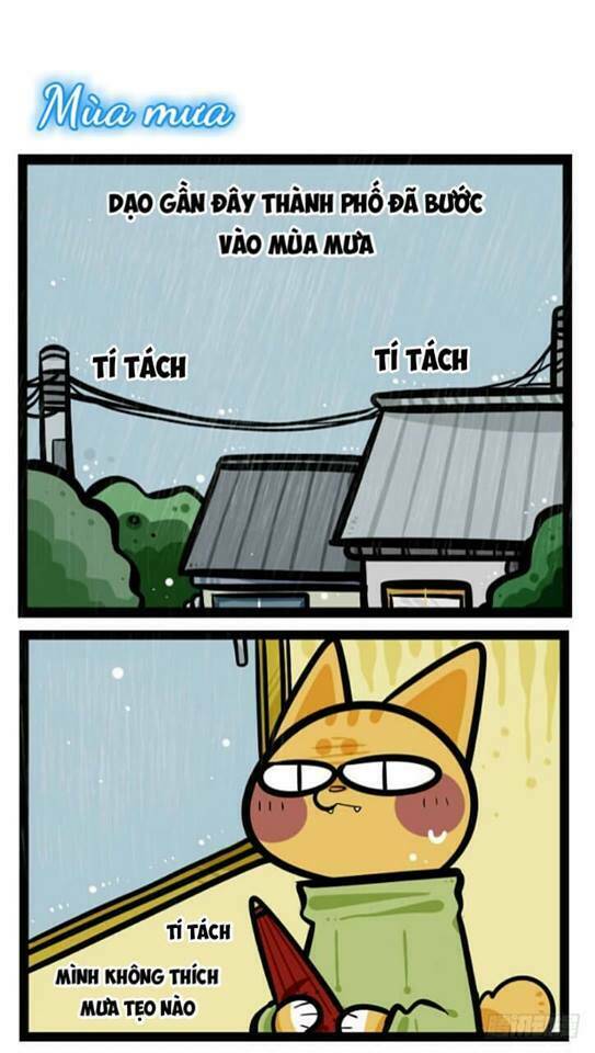 Đời Không Như Mình Tưởng: Chapter 37