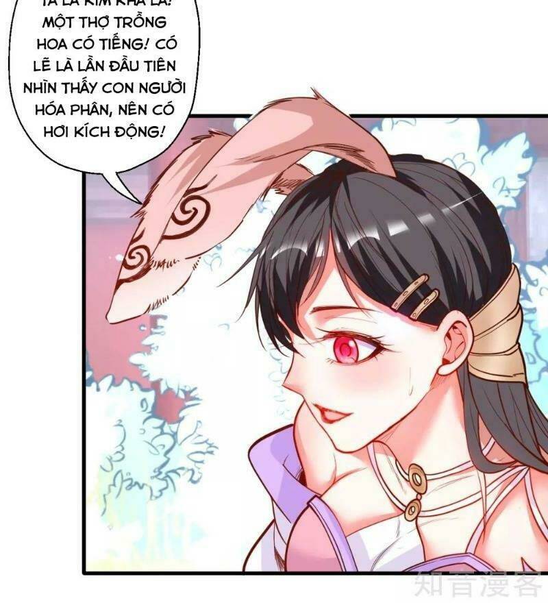 Tối Cường Đại Biểu Hoàng Kim Thận: Chapter 82