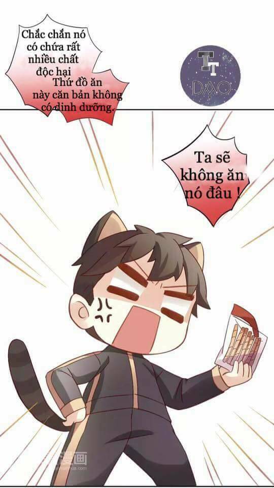 Dưới Móng Vuốt Mèo: Chapter 6