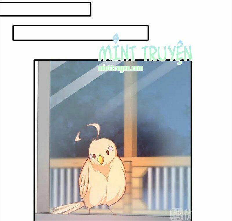 Nam Thần Truy Thê Chỉ Nam: Chapter 107.2