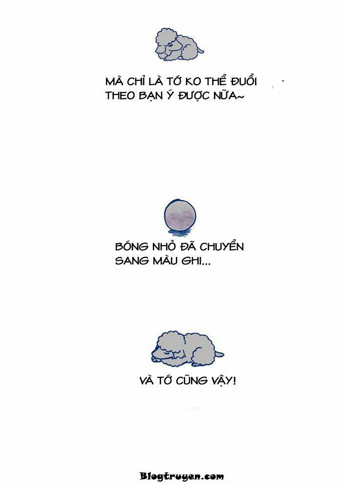 My Young Cat And My Old Dog: Chapter 15