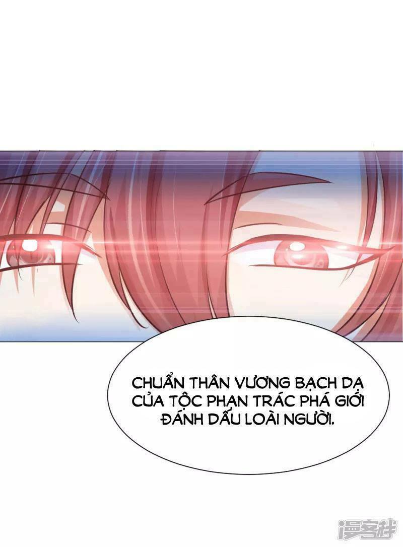 Minh Tinh Là Huyết Tộc: Chapter 20