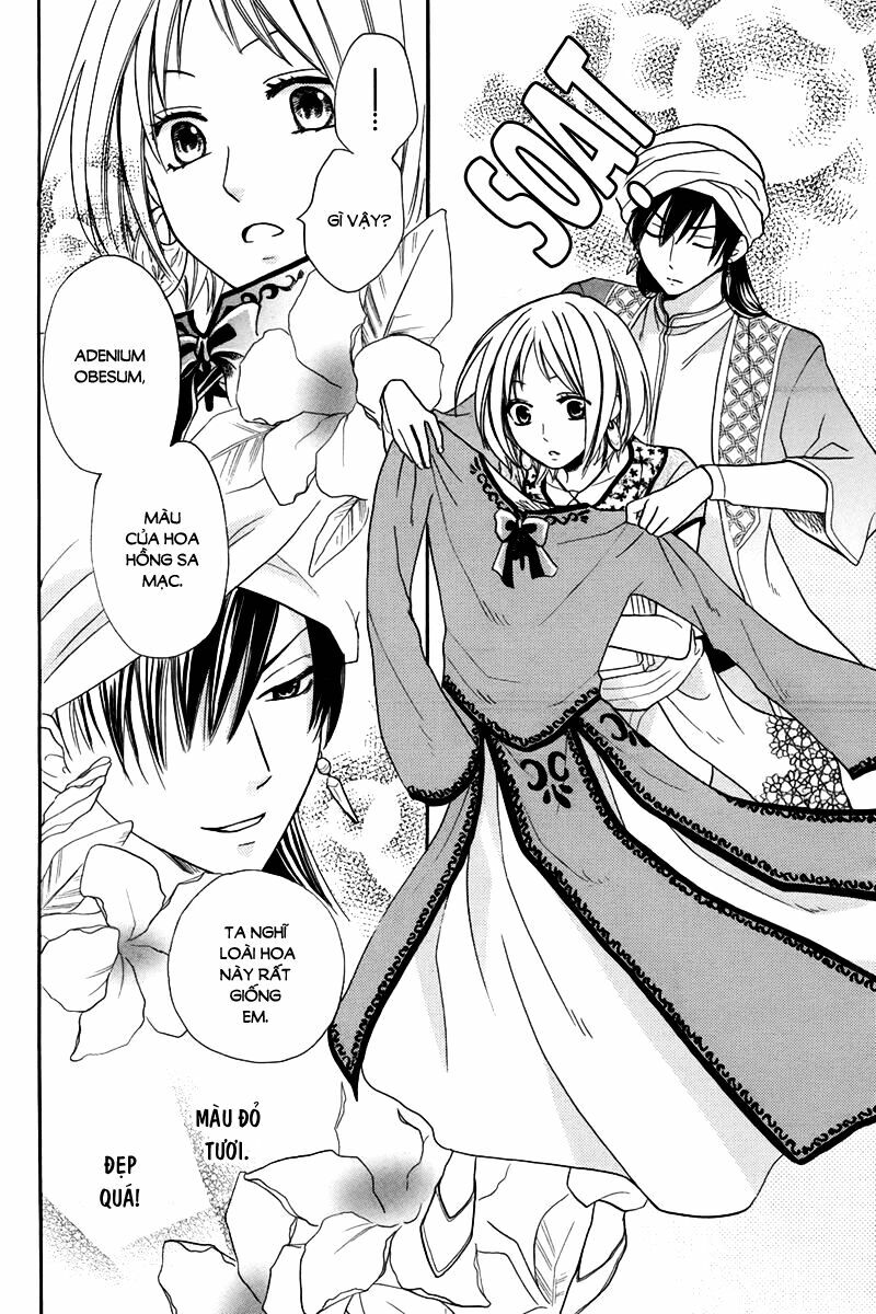Sabaku no Harem: Chapter 14