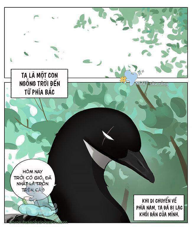 Chim Sẻ Gọi Ngỗng Trời: Chapter 7