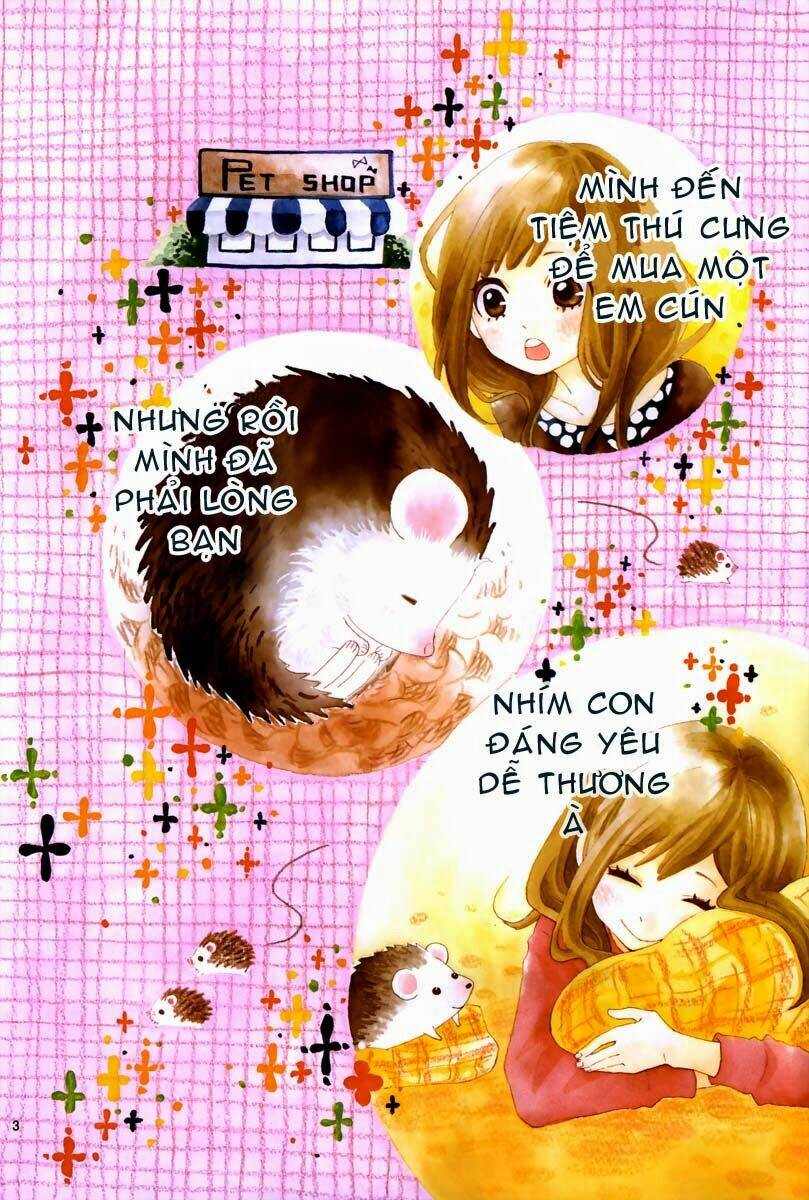 Koisuru Harinezumi: Chapter 1