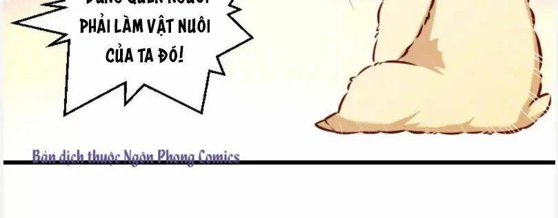 Tiểu Hoàng Thư Và Tiểu Hoàng Thúc: Chapter 55