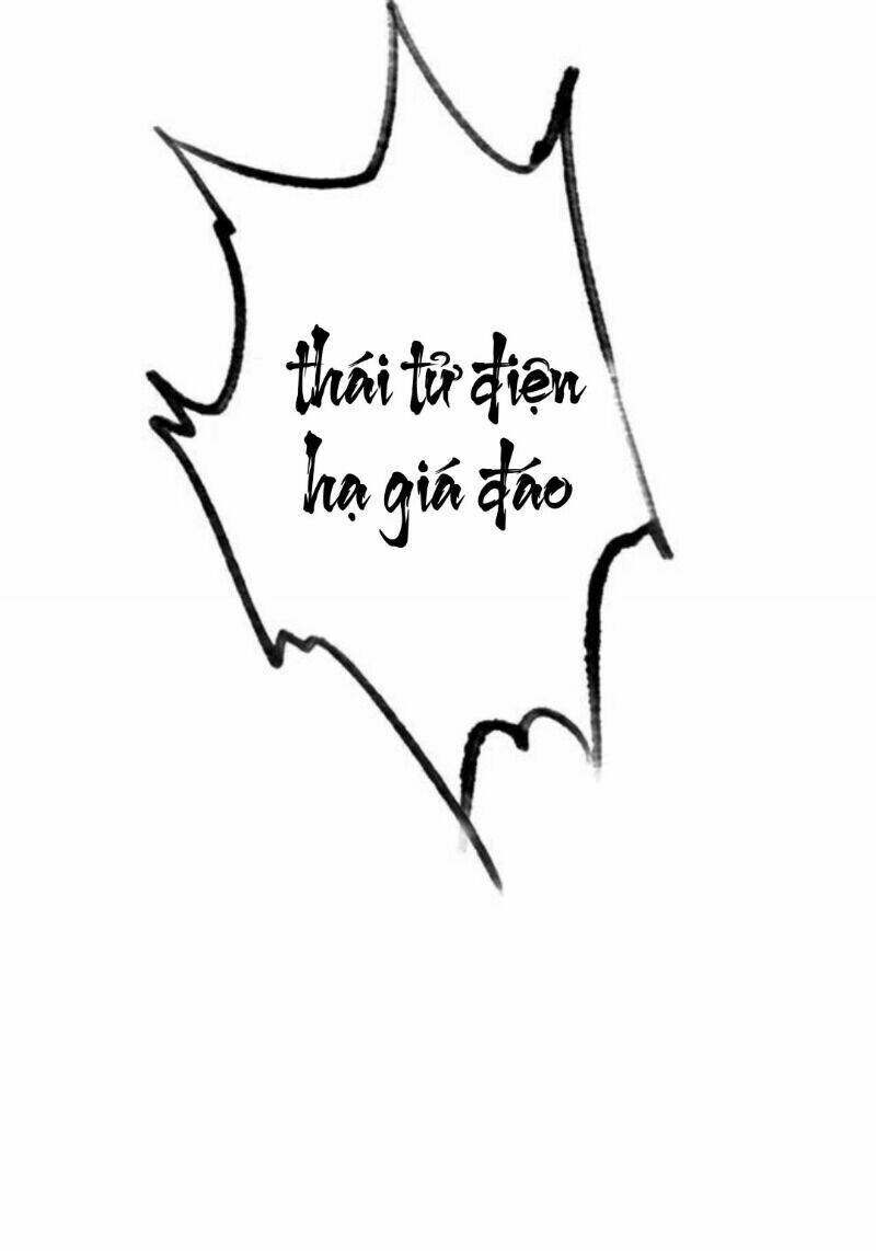 Trọng Sinh Bá Sủng Nhiếp Chính Vương Quá Mạnh Mẽ: Chapter 64