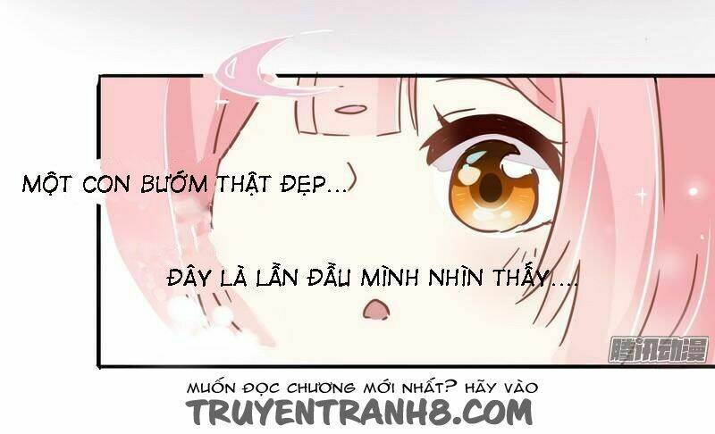 Trường Học Thảo Yêu Hoa: Chapter 1