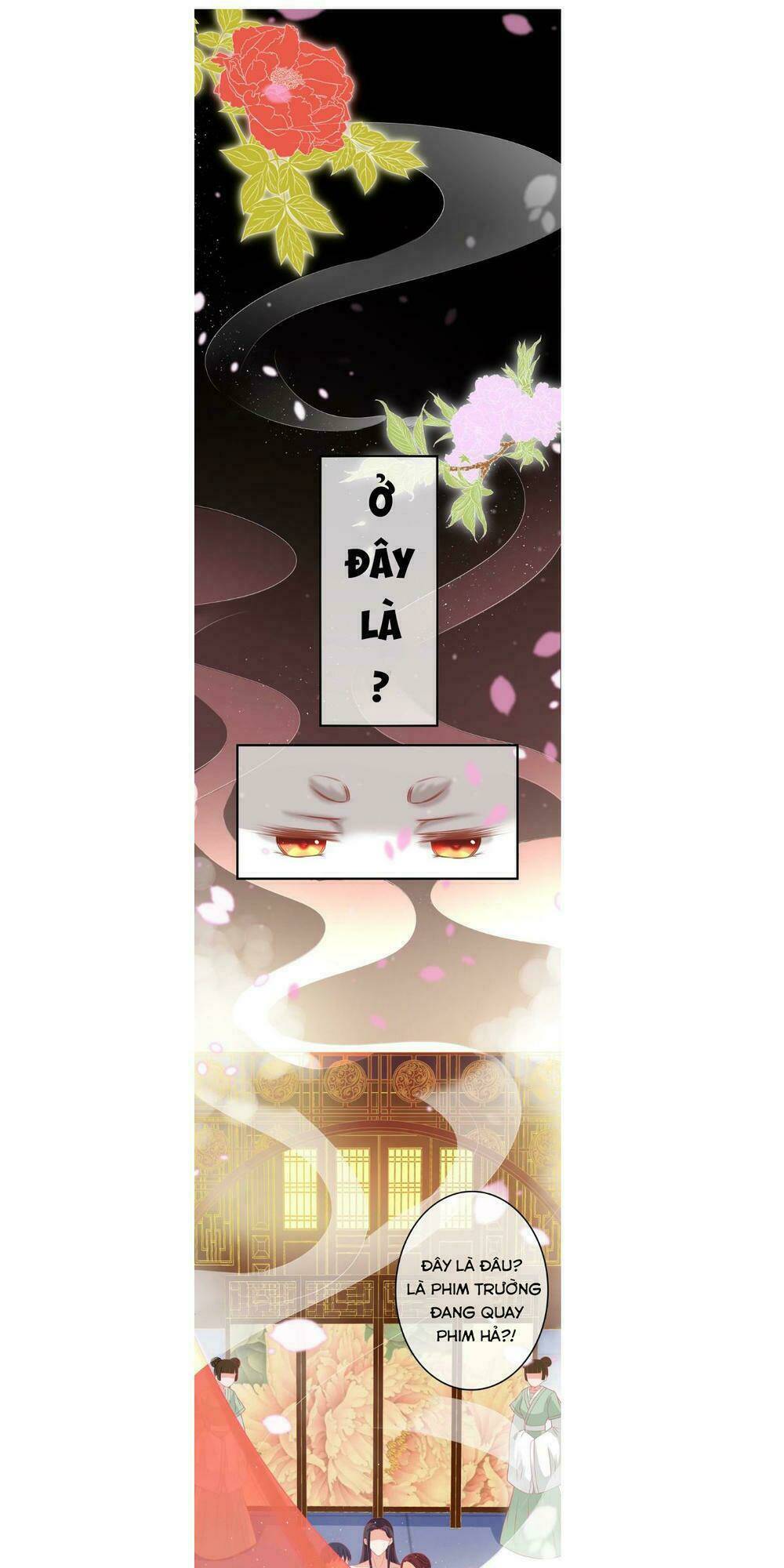 Báo Cáo Vương Gia, Vương Phi Là Một Con Mèo: Chapter 1