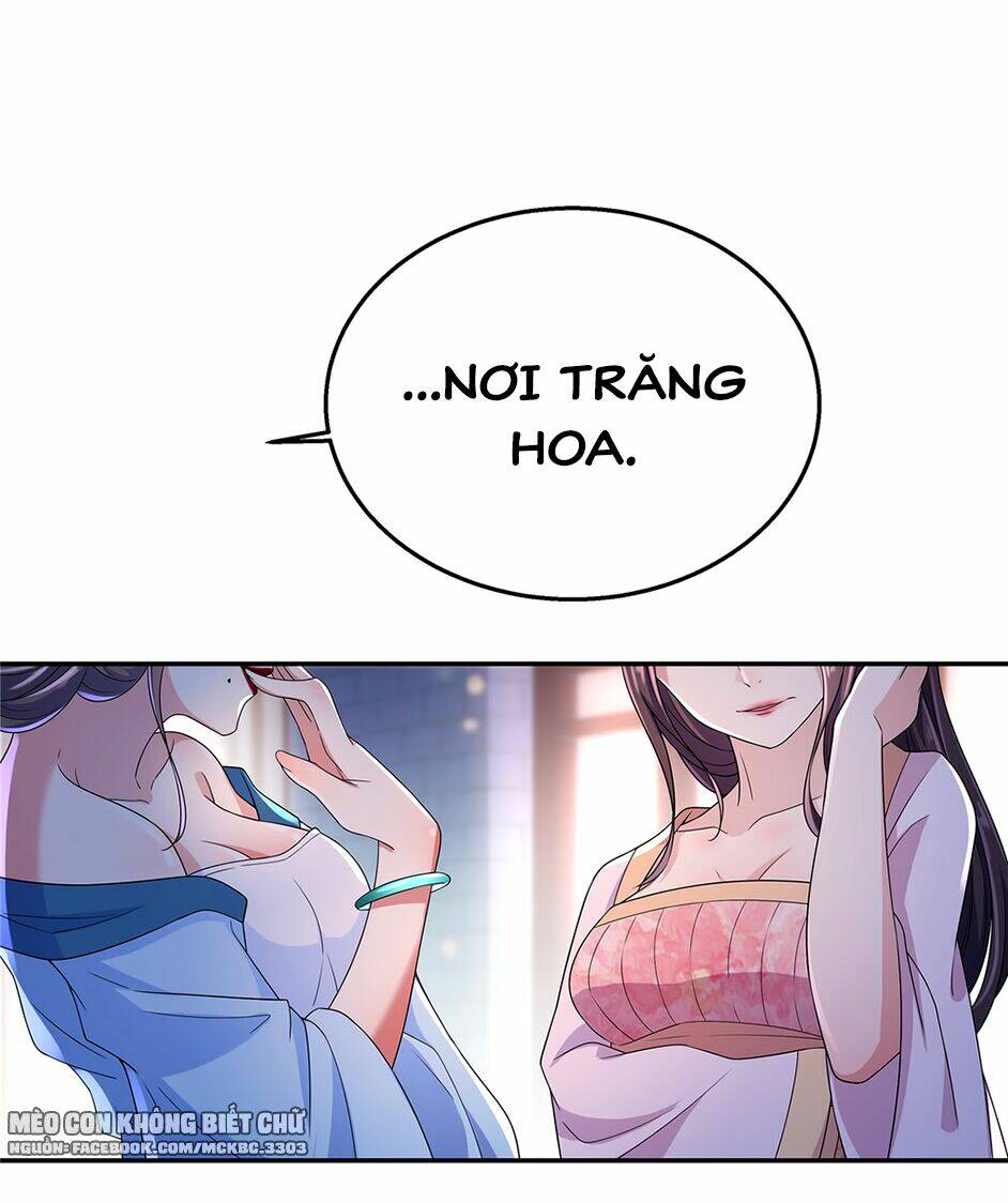 Báo Cáo! Đế Quân Ngài Có Độc!: Chapter 19