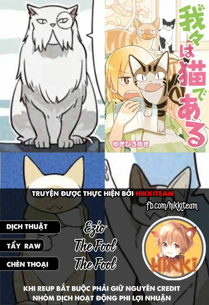 We Are Cat: Chapter 15