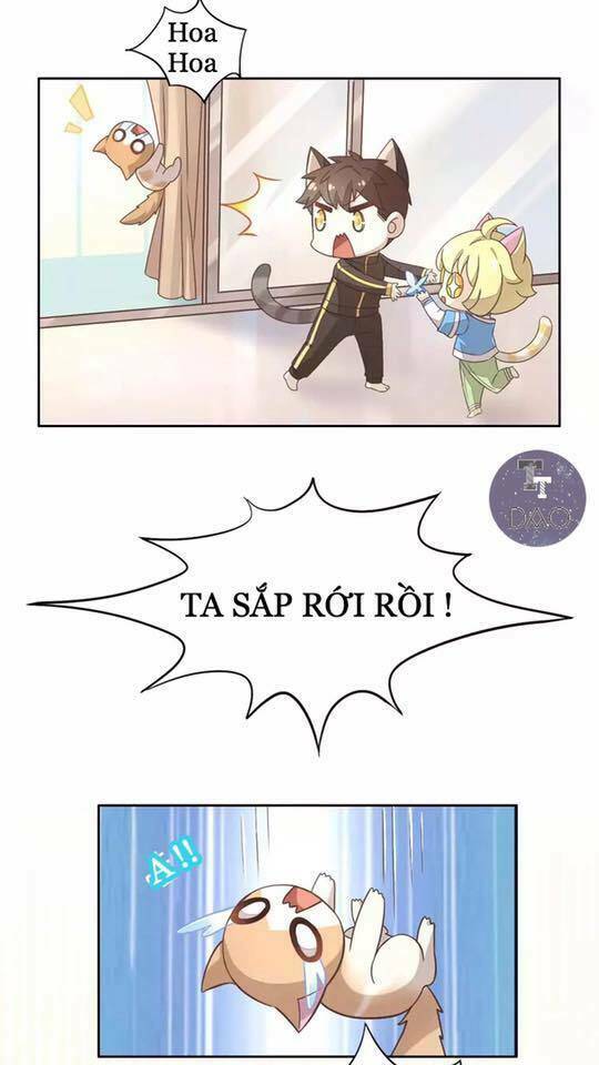Dưới Móng Vuốt Mèo: Chapter 19