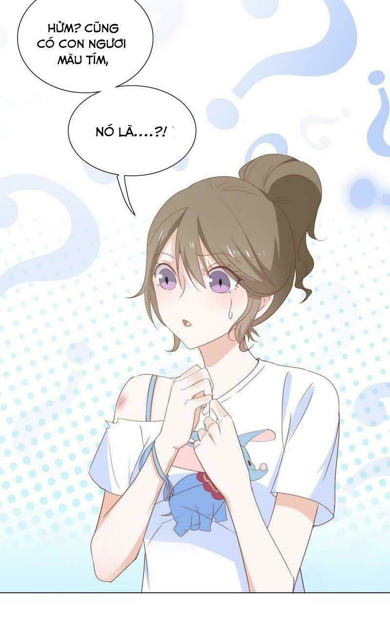 Thập Nhị Hắc Miêu: Chapter 5