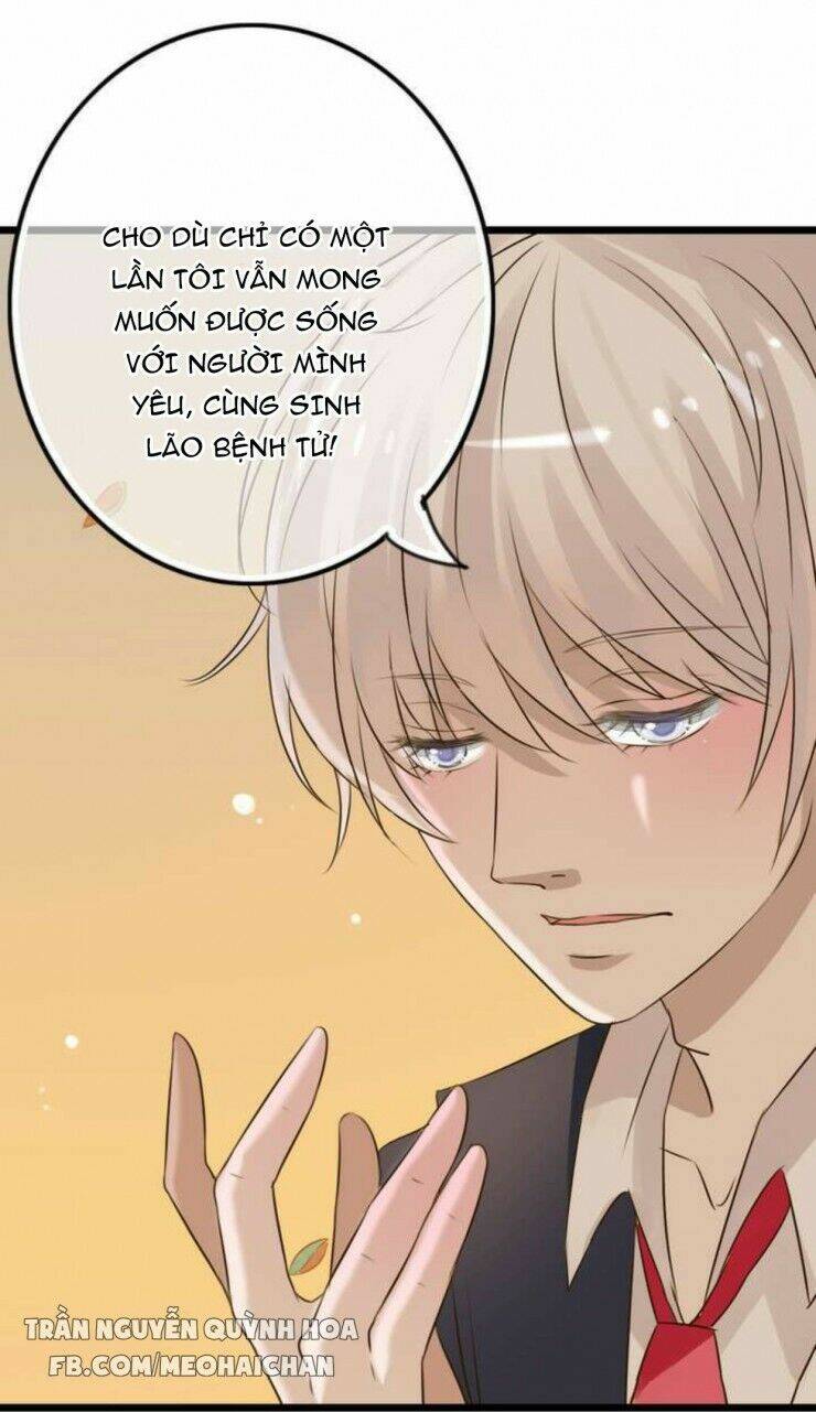 Sau Con Mưa Mùa Hạ: Chapter 4