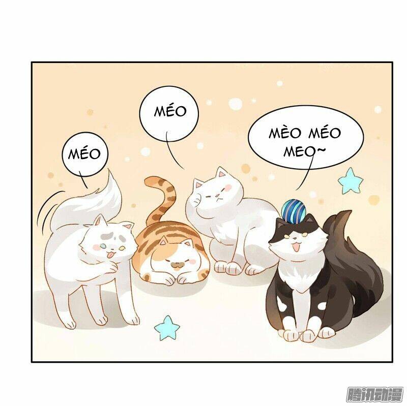 Sức Mạnh Của Sắc Đẹp: Chapter 58