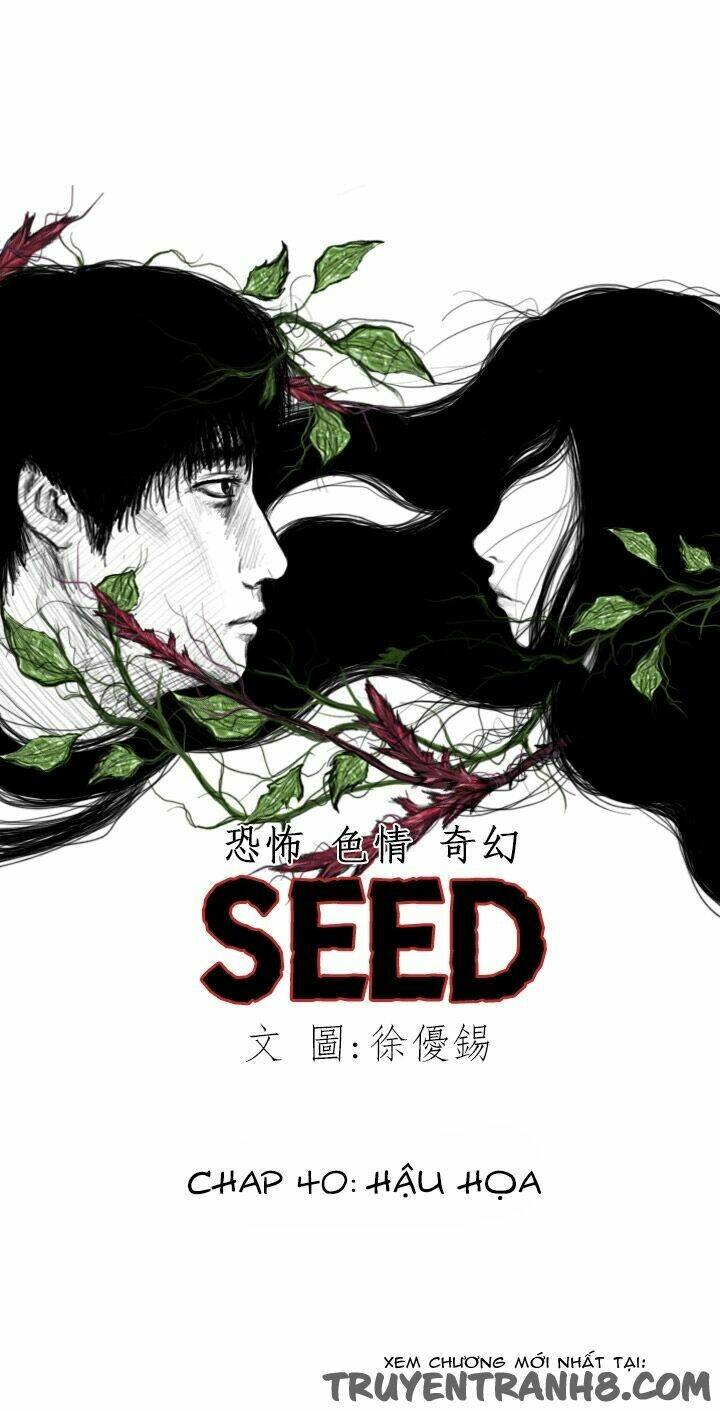 Hạt Giống Mỹ Nhân: Chapter 40
