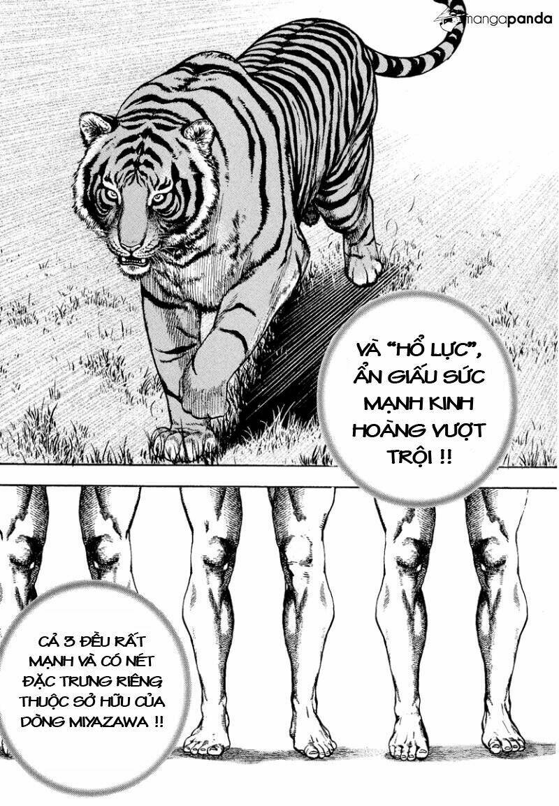 Tough - Miyazawa Kiichi: Chapter 226