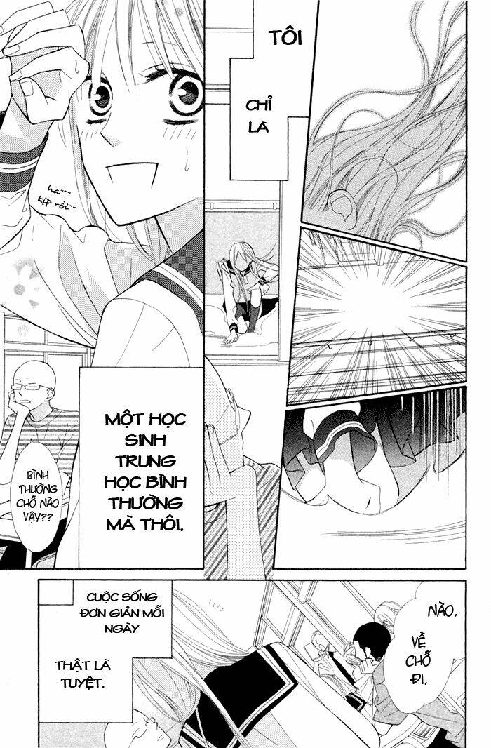 Hoa Trong Bão: Chapter 2